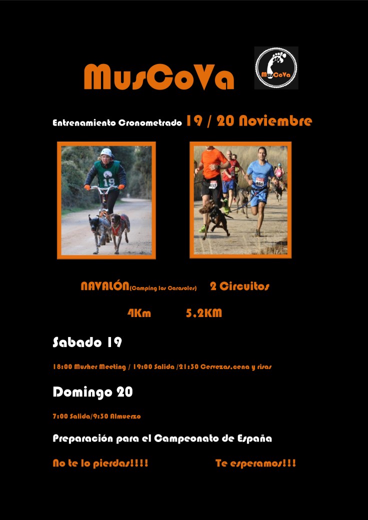 cartel-19-20-noviembre-blanco