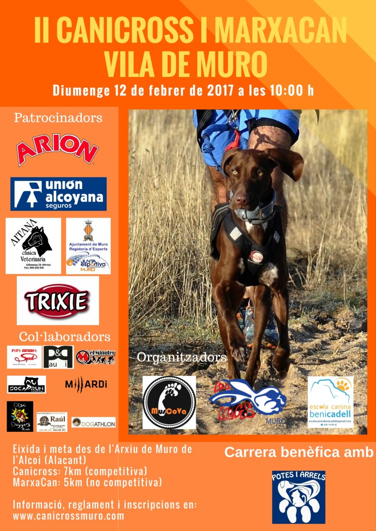 cartell_iicanicrossmarxacan_2017