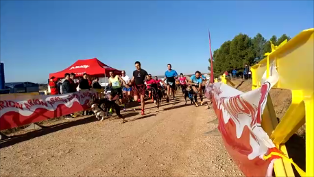 Instantánea 1 (08-11-2017 13-14)