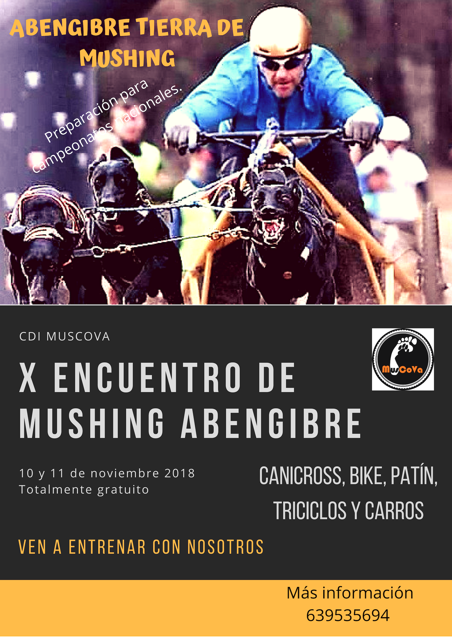 Cartel Abengibre 2.png