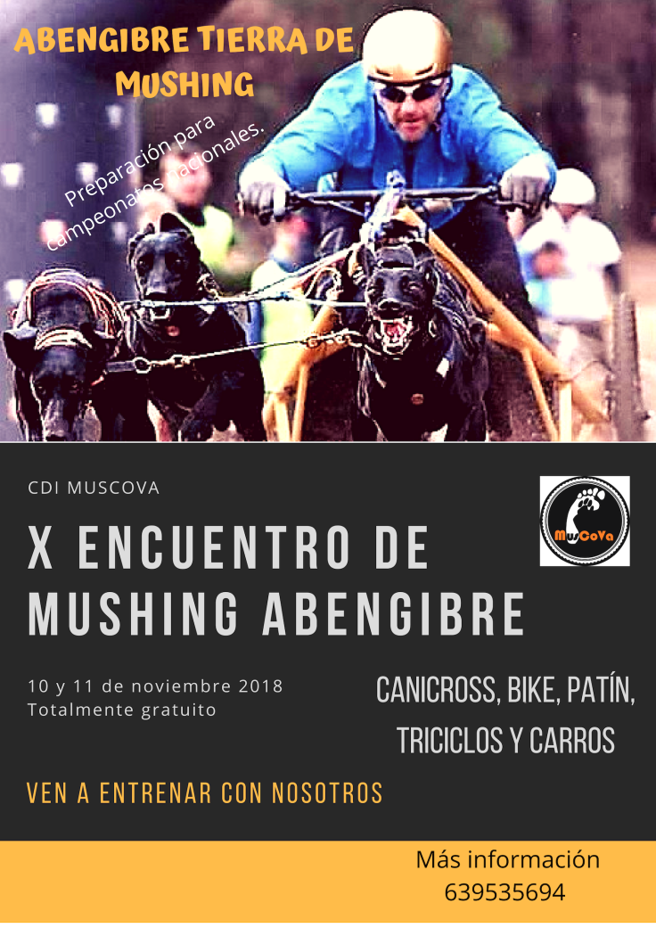 Cartel Abengibre 2.png